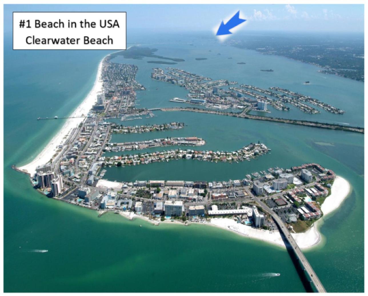 Beaches, Parks, Downtown, Trail, Breweries, Bikes, Gameroom Palm Harbor Exteriér fotografie